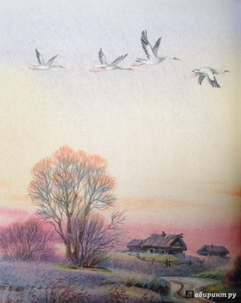 Афанасий Фет вечер иллюстрация