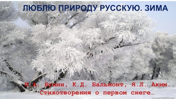 Люблю природу русскую зима