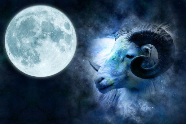 Berbec знак зодиака