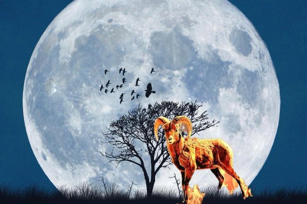 Луна в Овне