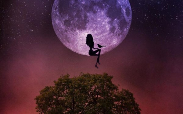 Полнолуние в Овне