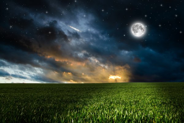 Ночной пейзаж