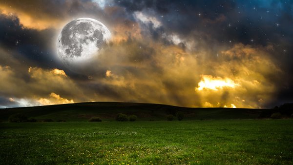 Ночное поле