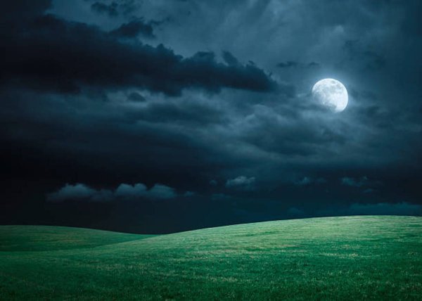 Ночное поле