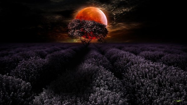 Ночь красота