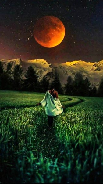 Ночное поле с луной