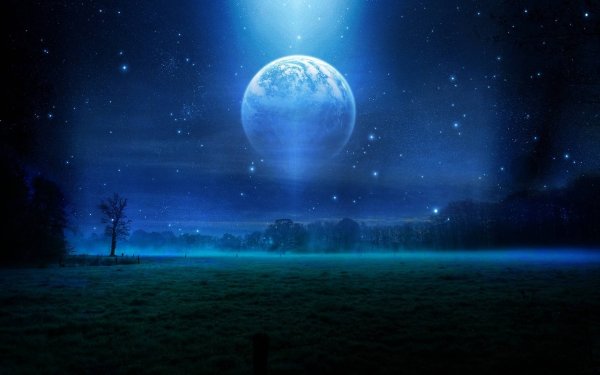 Ночь Луна