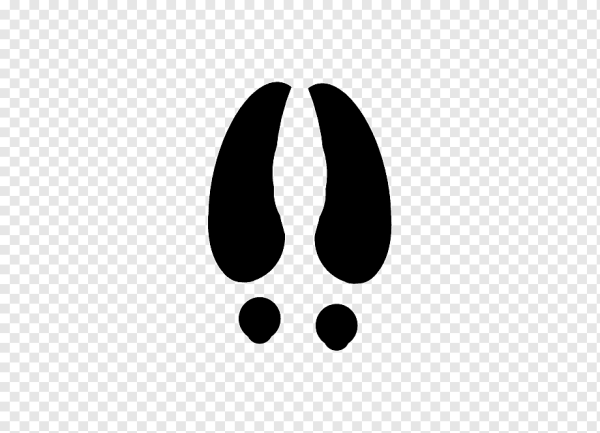 Отпечаток копыта коровы