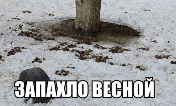 Пришла Весна смешно