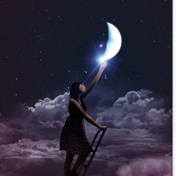 Тянется к звездам