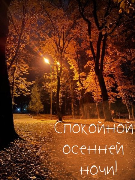 Спокойной ночи осень