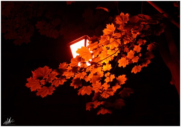 Спокойной о енней ночи