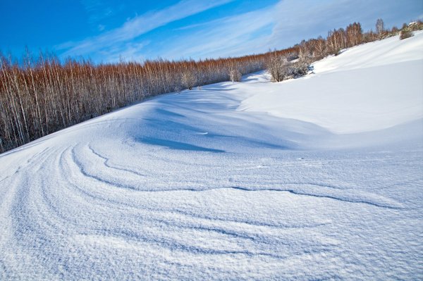 Под голубыми небесами великолепными коврами