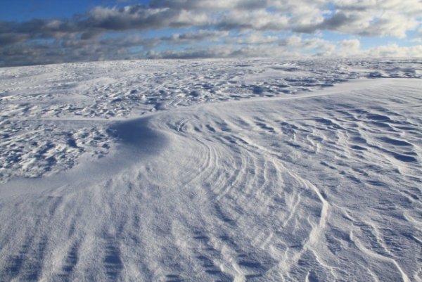 Заснеженная равнина