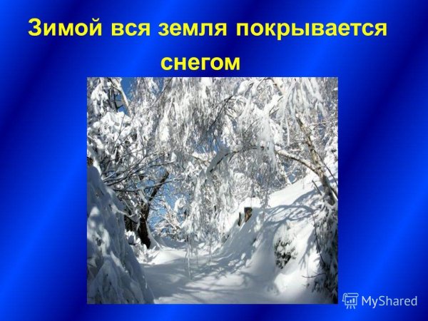 Земля покрылась снегом