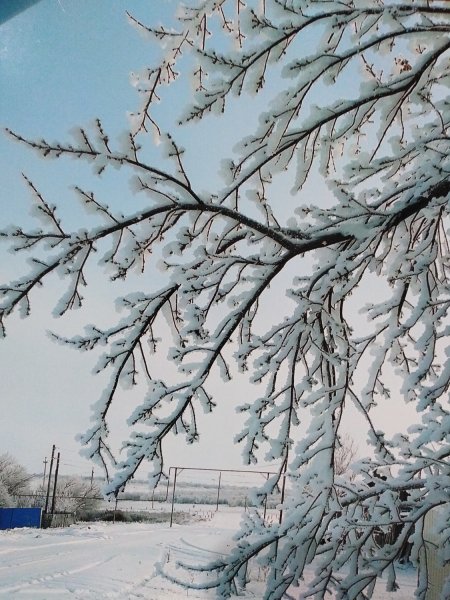 Холодная зима