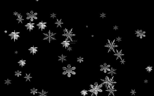 Картинки падающего снега на черном фоне (61 фото) » Картинки и статусы про  окружающий мир вокруг