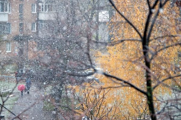 Ноябрь снег с дождем