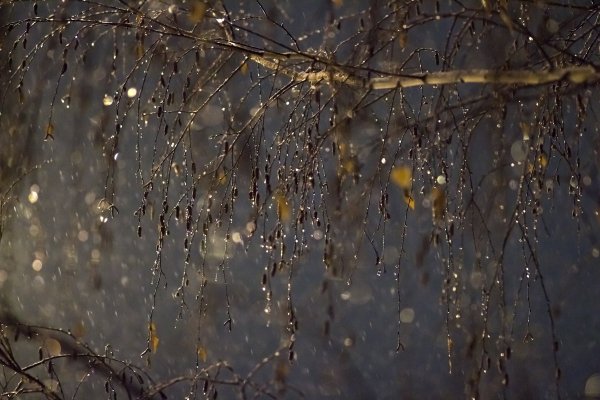 Мокрый снег с дождем