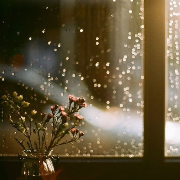 Дождь за окном