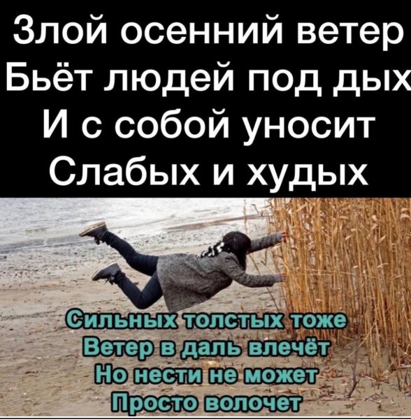 Злой осенний ветер бьёт людей под дых и с собой