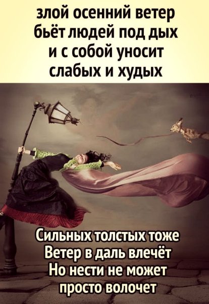 Лёгкий ветерок треплет арматуру