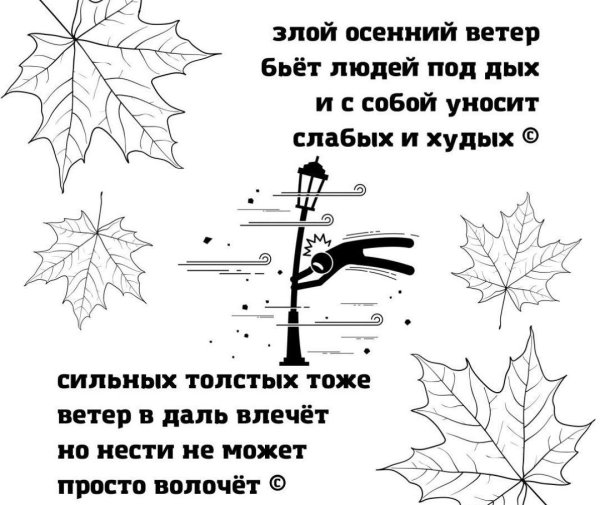 Злой осенний ветер бьёт людей под дых и с собой