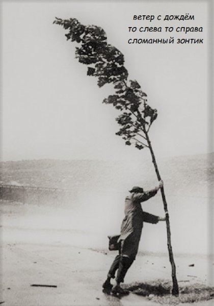 Открытка с сильным ветром