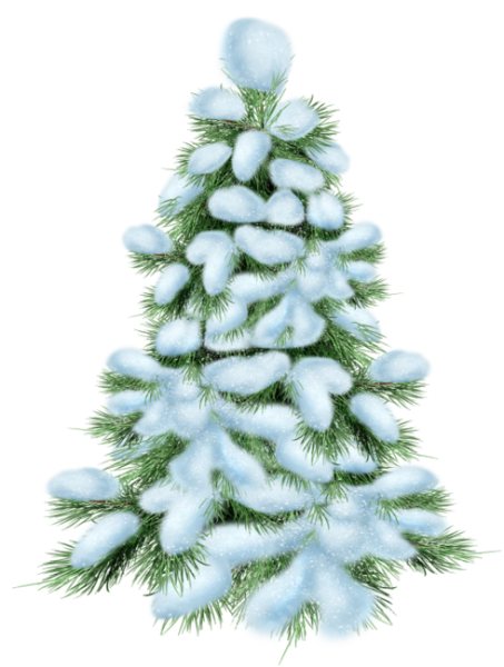 Елка в снегу