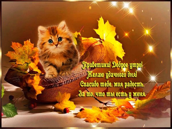 Доброе осеннее утро