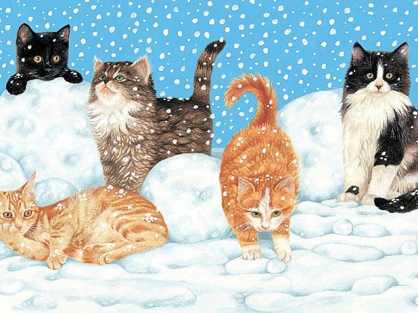 Зимние пейзажи с котами