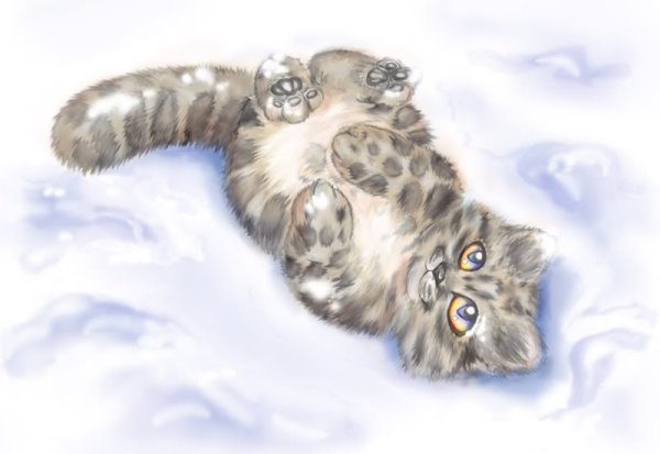Нарисовать зимнего котенка