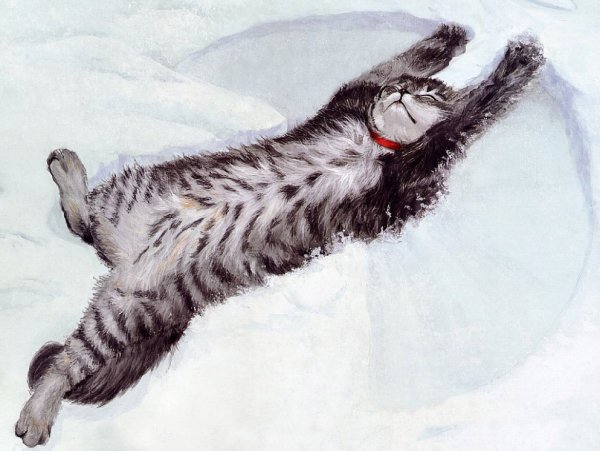 Кот спит в снегу