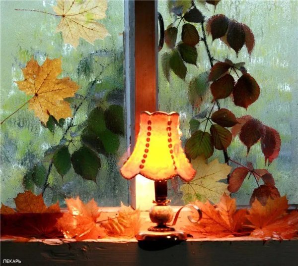 Доброй осенней ночи