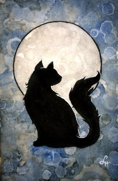 Кошка Луна