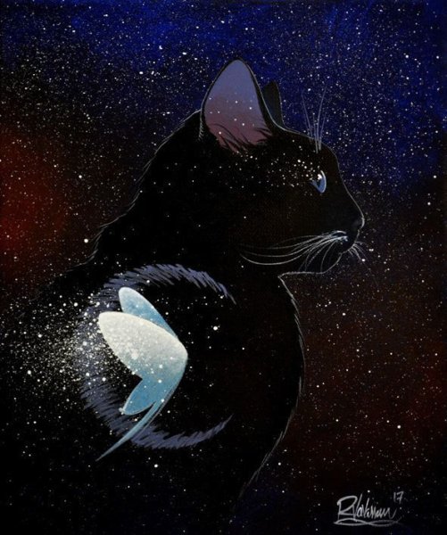 Звездная кошка