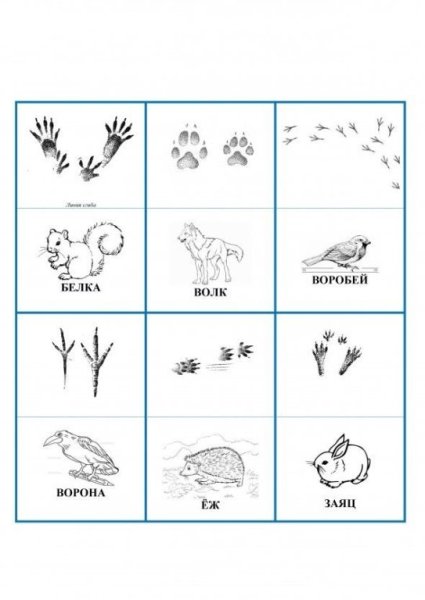 Игра чьи следы для дошкольников