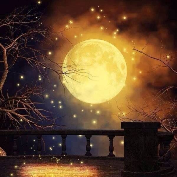 Сказочная ночь