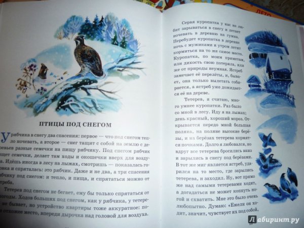 Пришвин птицы под снегом
