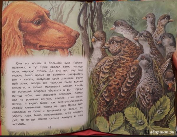 Про птиц и зверей Михаил пришвин книга
