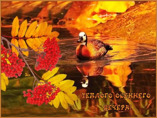 Доброго осеннего вечера