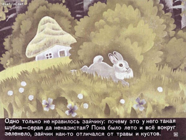 Г Скребицкий белая шубка