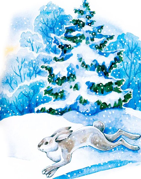 Заснеженная елка в лесу рисунок детские