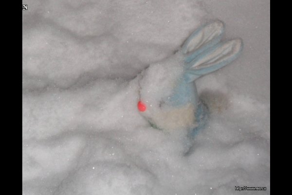 Снег и заяц бурятская сказка