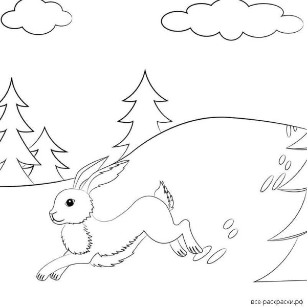 Раскраска заяц зимой в лесу