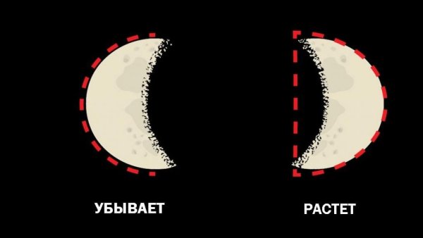 Мнемоническое правило определения фаз Луны
