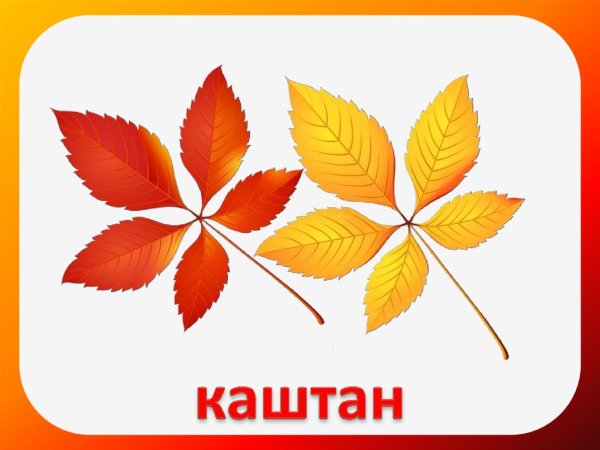 Осенние листья с названиями