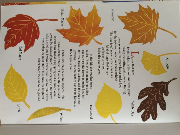 Осенние листья с названиями