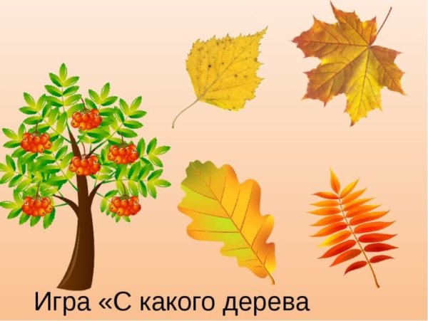 Игра с какого дерева лист