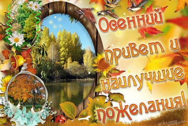 Открытки хорошей осени